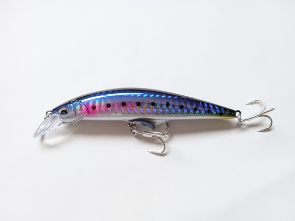 Gコントロール風 ヘビーシンキングミノー 30g ダメージマイワシ セカンドリップ搭載 シーバス 青物 遠投 高飛距離 ヒラメ 送料無料