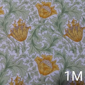 V&A ウィリアムモリス アネモネ クリーム 1M 花柄 モリス生地 花柄生地 William Morris