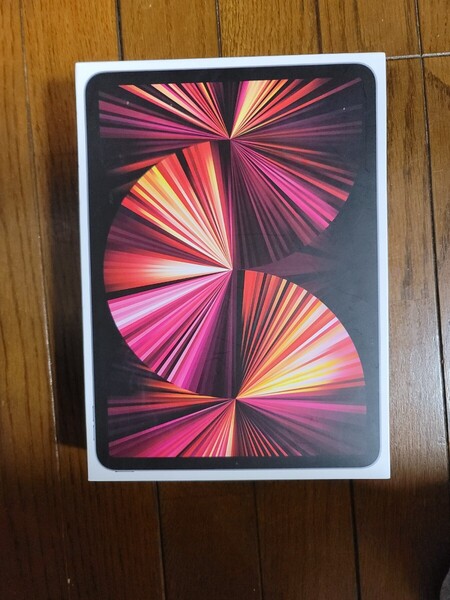 Apple iPad Pro 11インチ (第3世代) スペースグレー