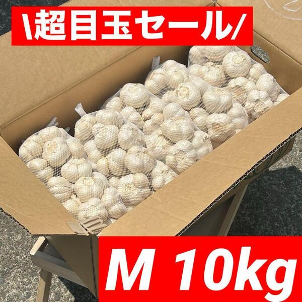 【超目玉セール】青森県産 にんにく M 10kg福地ホワイト六片 加工オススメ