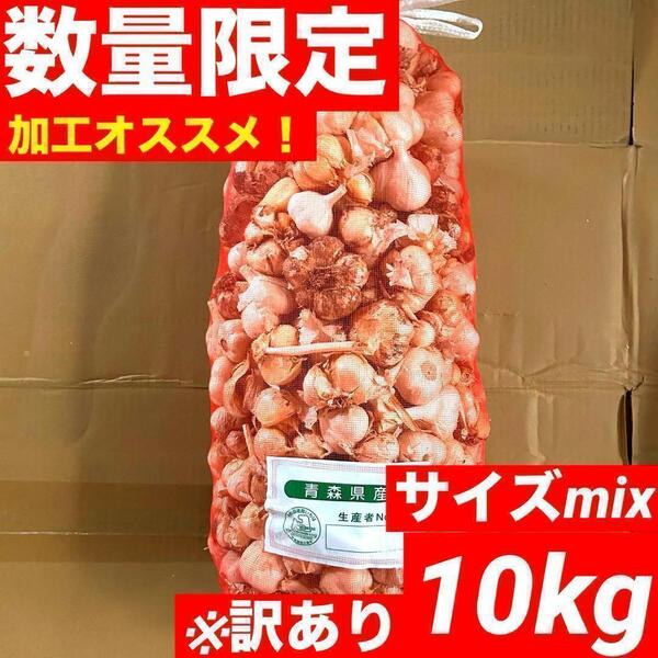 【早い者勝ち】青森県産 にんにく 玉 10kg 福地ホワイト 加工 訳あり
