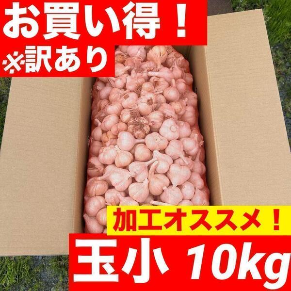 【数量限定】青森県産にんにく 玉小 10kg 福地ホワイト 訳あり 加工オススメ