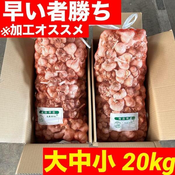 【早い者勝ち】青森県産にんにく 玉 20kg 福地ホワイト 加工オススメ 訳あり