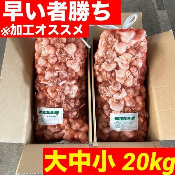 【早い者勝ち】青森県産にんにく 玉 20kg 福地ホワイト 加工オススメ 訳あり