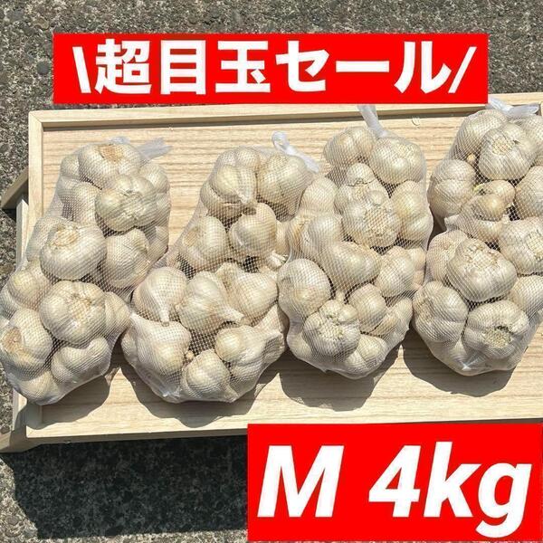 【大特価】青森県産 にんにく M 4kg福地ホワイト六片 加工オススメ