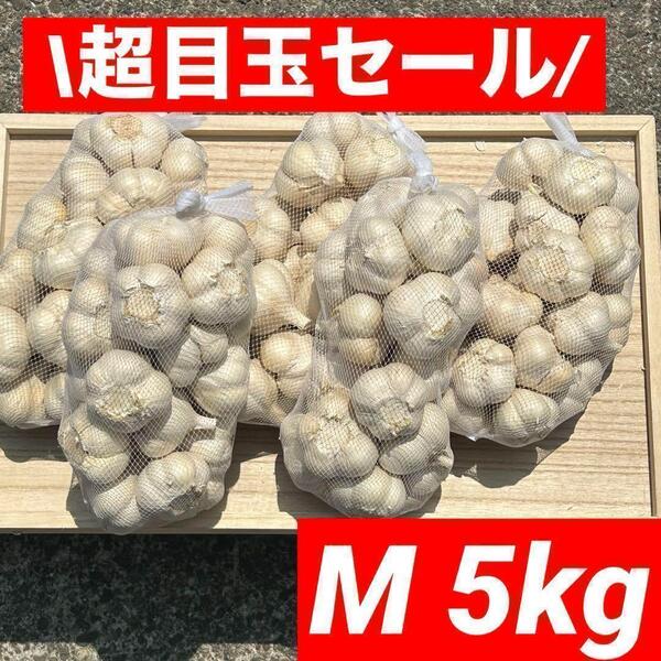 【大特価】青森県産 にんにく M 5kg 福地ホワイト六片 加工オススメ