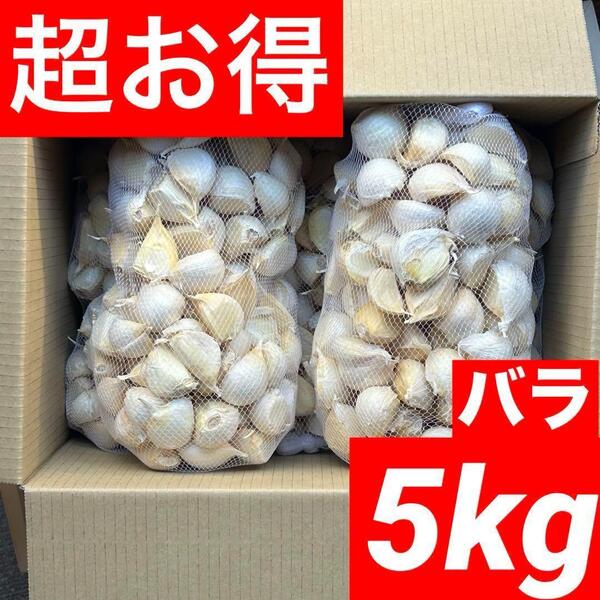 【超目玉セール】青森県産 にんにく Mixバラ 5kg福地ホワイト六片