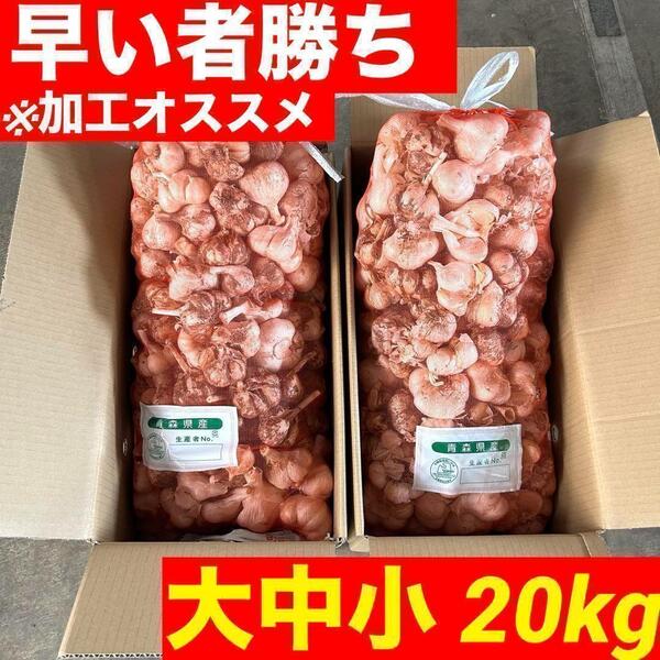 【数量限定】青森県産にんにく 玉 20kg 福地ホワイト 加工オススメ 訳あり