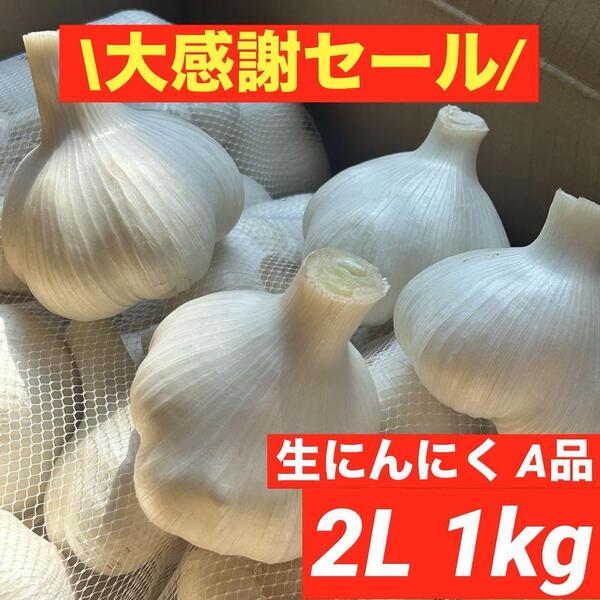 【大感謝セール】新物 青森県産 生にんにく A品 2L 1kg福地ホワイト六片