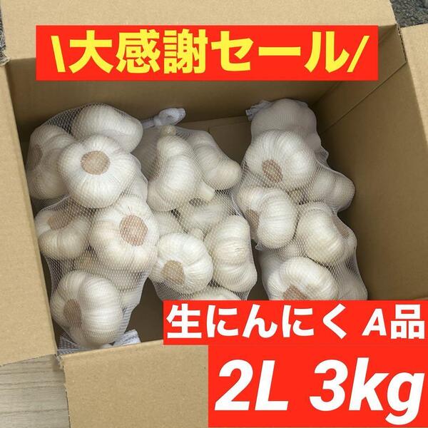 【大感謝セール】新物 青森県産 生にんにく A品 2L 3kg福地ホワイト六片