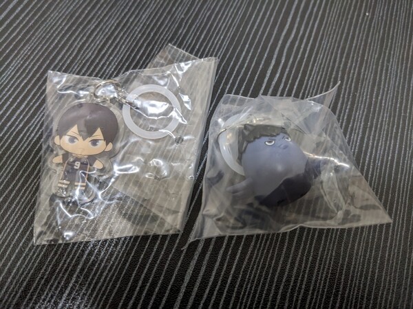 ハイキュー!! 烏野高校 影山飛雄 カゲガラス ふらっとめじるしアクセサリー アニマルゆらゆらマーカー ガチャ 2点セット