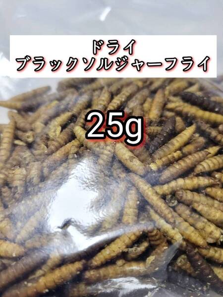 乾燥 ドライ ブラックソルジャーフライ 25g ミルワーム シルクワーム爬虫類 アクアリウム 小動物 ハムスター フクロモモンガ ハリネズミ