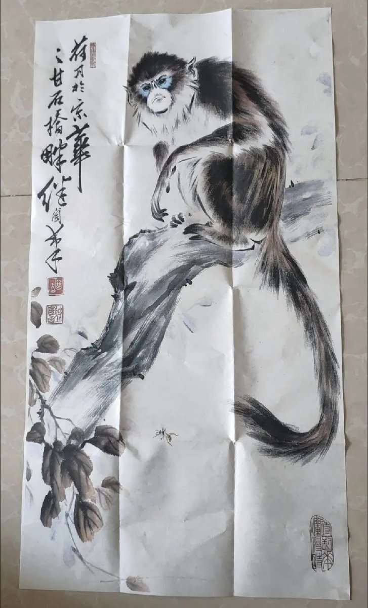 掛軸 珠枝『猿図』紙本 肉筆 無地箱付 掛け軸 w060224 書