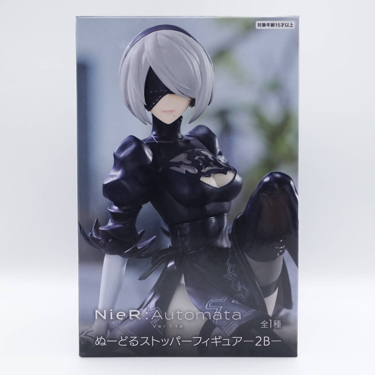 DreamHouse Studio - Nier 2B 1/6| Mirai Collectibles