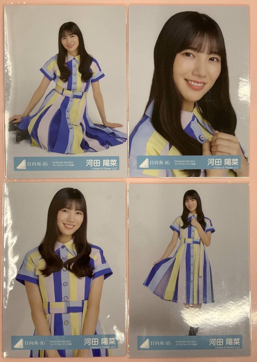人気No.1 日向坂46 河田陽菜 卒業写真だけが知ってる コンプ