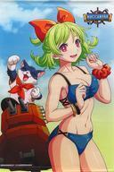 中古タペストリー アリシア・エイム 描き下ろしB2タペストリー 「PS4/Switchソフト バッカニヤ」 WonderGOO購入特典