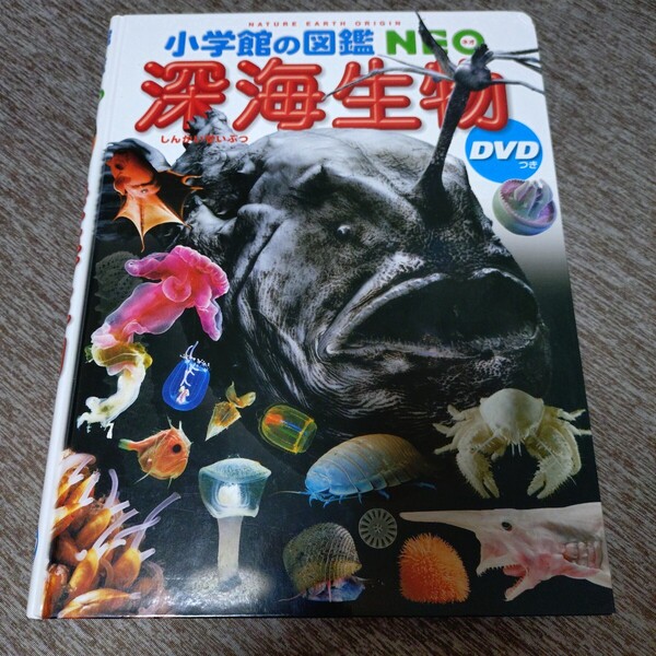 小学館の図鑑NEO 深海生物 DVD欠品 学習 児童書 絵本