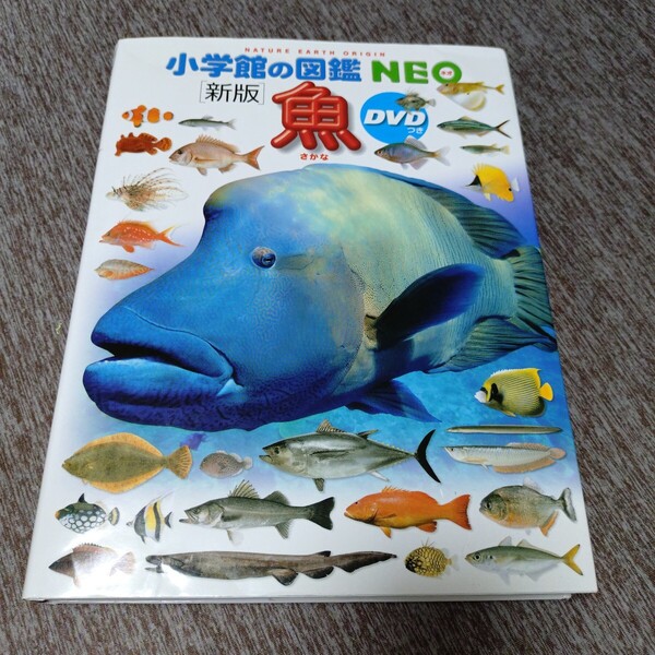 魚 (小学館の図鑑NEO4)DVD付き 学習 児童書 絵本
