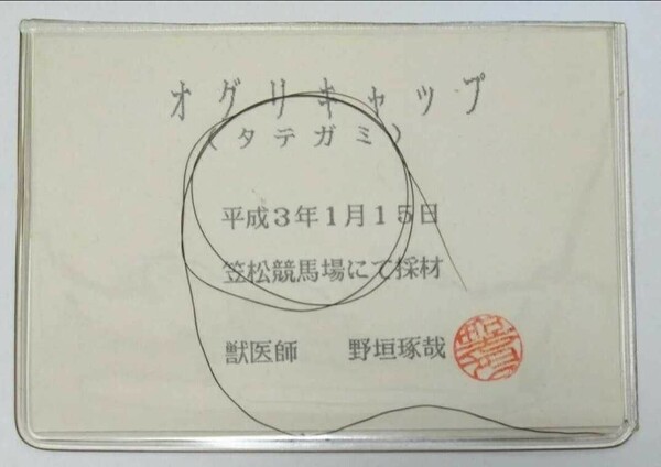 オグリキャップ 一本 たてがみ 非売品 チャリティー ウマ娘 風水 御守り 競馬 当選品