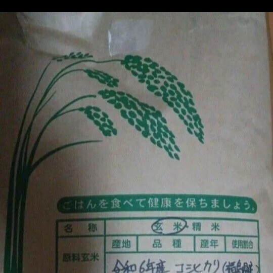 コシヒカリ 10kg 玄米 福島県 令和6年産 全国送料無料