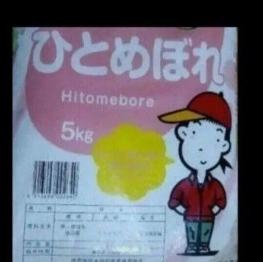 ひとめぼれ 10kg 5kg×2袋 白米 精米日令和7年5月中旬 福島県産 令和6年産 全国送料無料