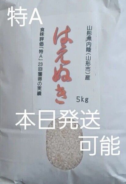 はえぬき 特A 10kg(5kg×2袋) 山形県産 令和6年産 冷蔵保管 全国送料無料