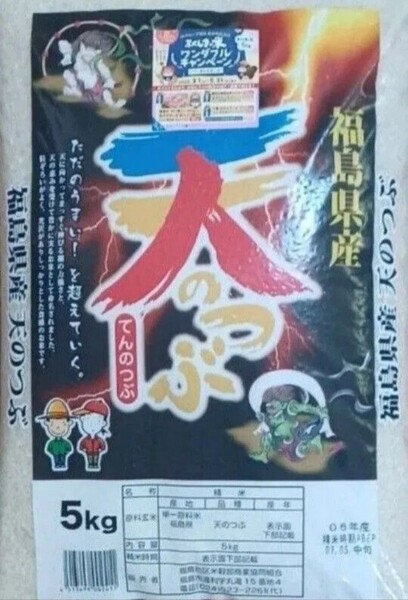 天のつぶ 10kg 5k×2袋 白米 精米日令和7年5月中旬 福島県 令和6年産 全国送料無料
