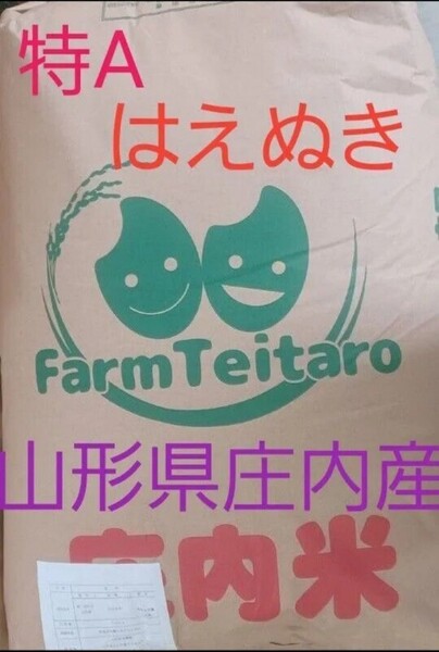 はえぬき 特A 30kg 玄米 山形県庄内 令和6年産 全国送料無料