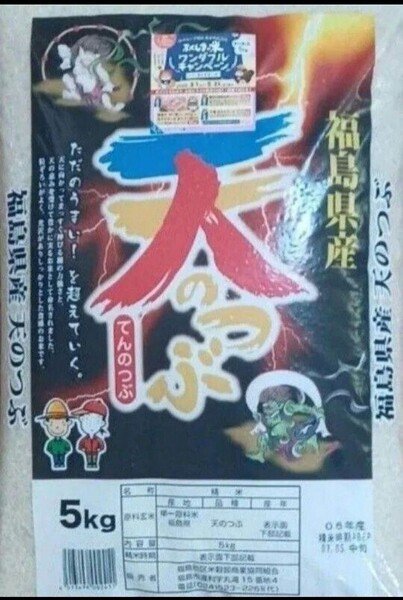 天のつぶ 20kg 5kg×4袋 福島県 令和6年 令和7年5月中旬精米 全国送料無料