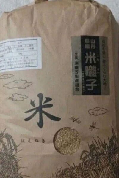 はえぬき 特A 20kg 10kg×2袋 玄米 山形県 令和6年産 全国送料無料