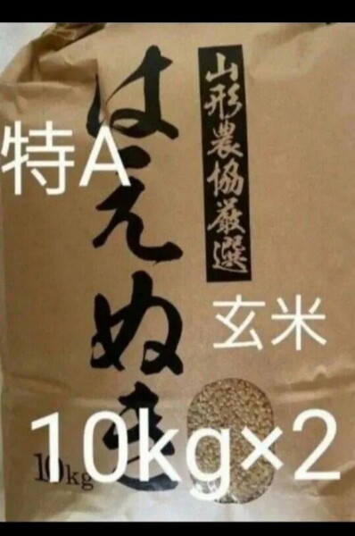 特A はえぬき 20kg 10kg×2袋 玄米 山形県令和6年産 全国送料無料