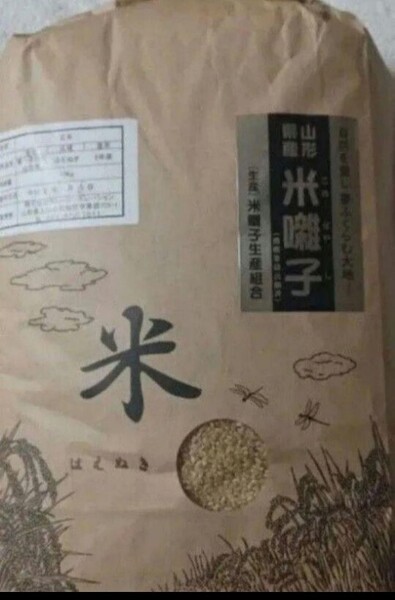 はえぬき 特A 10kg 玄米 山形県 令和6年産 全国送料無料