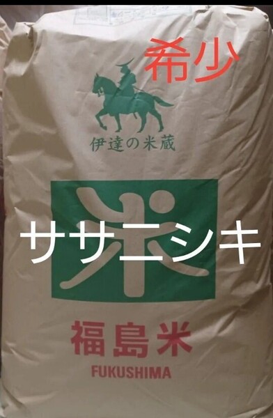 ササニシキ 希少 一等米 玄米 30kg 伊達産 令和6年産 冷蔵保管 全国送料無料