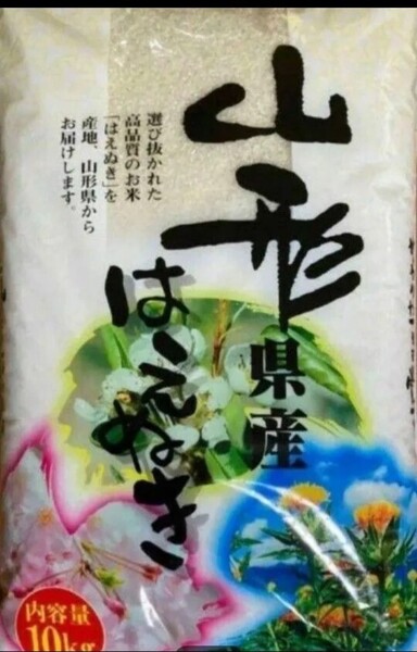 特A はえぬき 20kg 10kg×2袋 白米 山形県 令和6年産 令和7年5月中旬精米 全国送料無料