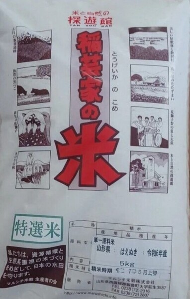 はえぬき 特A 10kg(5kg×2袋) 山形県 令和6年産 冷蔵保管 全国送料無料