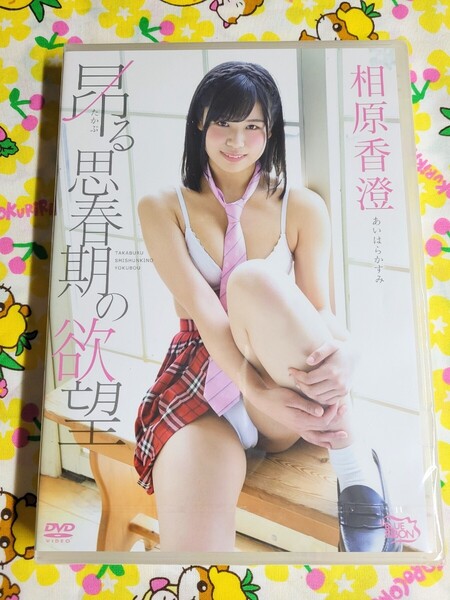 【匿名配送】未開封 相原香澄 昂る思春期の欲望 グラビア アイドルDVD