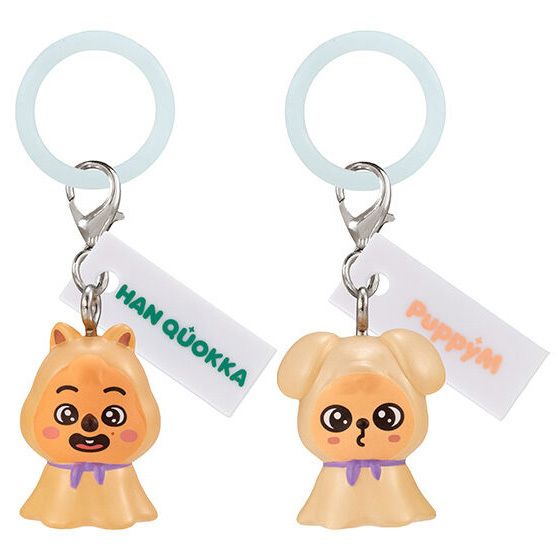 ★2個セット★新品★未使用★HAN QUOKKA★PuppyM★SKZOO★めじるしアクセサリー★トゥエッキ★スキズ★ガチャ★ガシャ★カプセルトイ★