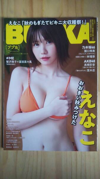 (ZG‐5) BUBKA (ブブカ) 2022年 12月号 付録ポスター(えなこ 蟹沢萌子×冨田菜々風)有