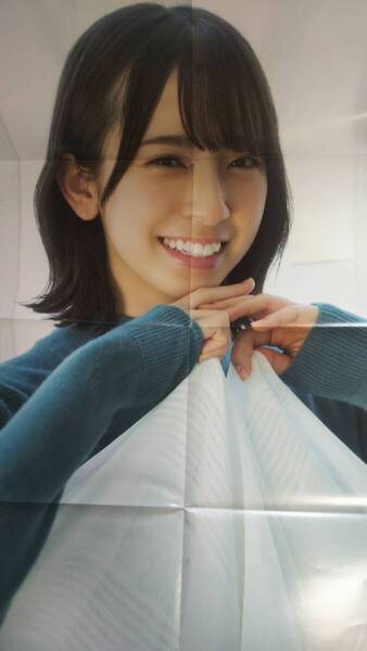 (X‐1) 日向坂46 雑誌付録ポスター 金村美玖 齊藤京子 宮田愛萌 東村芽衣 河田陽菜 丹生明里 渡邉美穂 佐々木久美 高本彩花