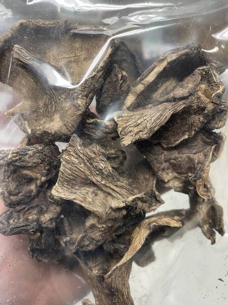 高級食材 香茸 コウタケ 乾燥 50g 雲南産 天然きのこ 椎茸 イノハナ ( 煮物や炒め物に最適 )