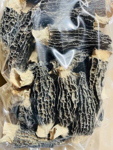 羊肚菌 ドライモリーユ 乾燥アミガサタケ キノコ30g
