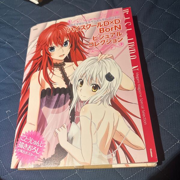 アニメムック ハイスクールD×D Born ビジュアルコレクション(付録つき) リアス 小猫 お風呂ポスター メガミマガジン らさらあ