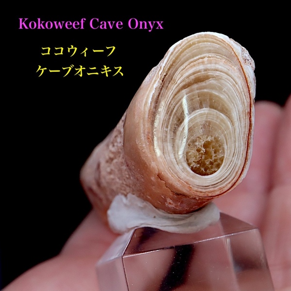 【送料無料】スーパーセブン セプター スモーキー アメジスト紫水晶 19g AMT150 鉱物 天然石 原石 パワーストーン