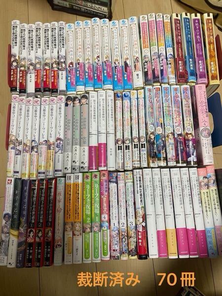 裁断済み 70冊 ルベリア王国物語 捨てられ男爵令嬢 侯爵家の次女 万能女中コニー 異世界の沙汰は社畜次第 皇帝陛下のお世話係 小説