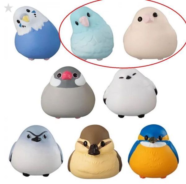 ハグコット Hugcot こーどの鳥さん 2種セット(十姉妹さん/マメルリハさん) ガチャガチャ カプセルトイ 03