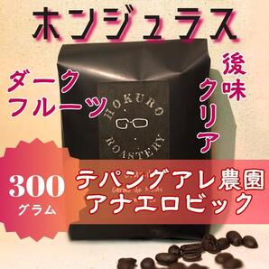 ホンジュラス テパンアグレ農園 アナエロビック 300g 自家焙煎コーヒー豆