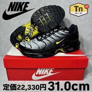 新品 ナイキ エアマックス プラス ウルフグレー オプティ イエロー 31.0 DM0032-012 マップラ