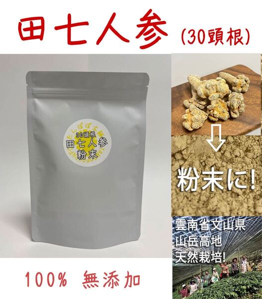 雲南省産田七人参粉末30頭根 100g 三七人参 パウダー無添加 原料そのまま 雲南省文山産 田七人参 三七人参