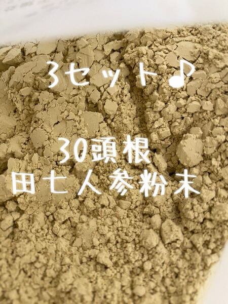 3コセット!雲南省産田七人参粉末30頭根 300g 雲南省文山産 厳選天然栽培 三七人参 田七人参 雲南省文山産 三七人参 厳選天然栽培 田七人参