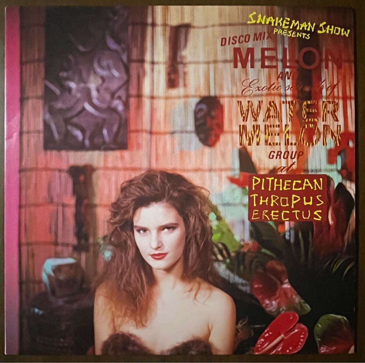 ウォーター・メロン・グループ Cool Music 　レコード帯付き　見本盤 ウォーター・メロン・グループ Cool Music レコード帯付き 見本